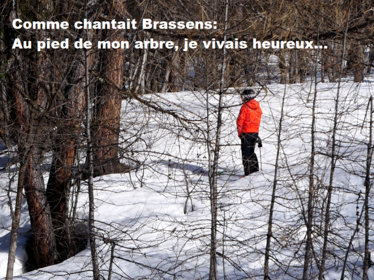 vlcsnap-2026-03-09-09h11m13s552